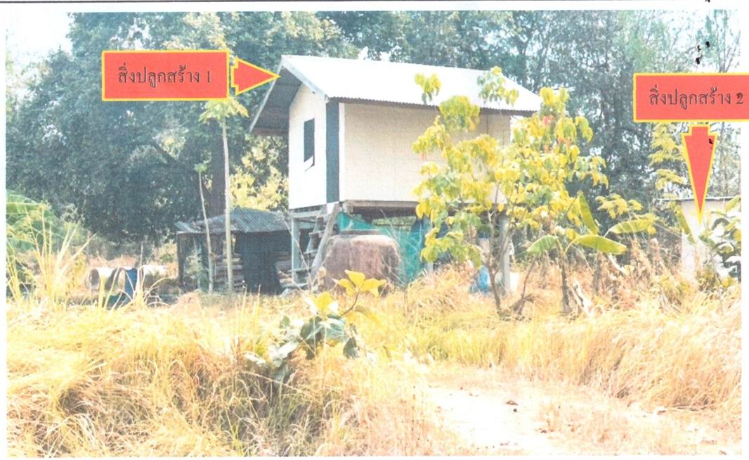 ขายทอดตลาด ที่ดินพร้อมสิ่งปลูกสร้าง ต.โพธิ์ชัย อ.วาปีปทุม จ.มหาสารคาม
