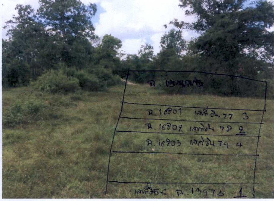 ขายทอดตลาด ที่ดินว่างเปล่า ต.แม่ขรี อ.ตะโหมด จ.พัทลุง