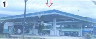 รูปทรัพย์ 1