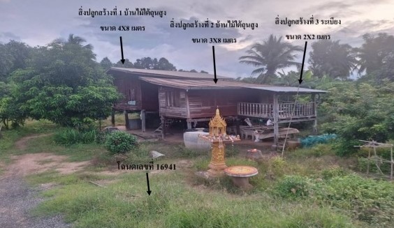 ขายทอดตลาด ที่ดินพร้อมสิ่งปลูกสร้าง ต.บางไผ่ อ.บางมูลนาก จ.พิจิตร