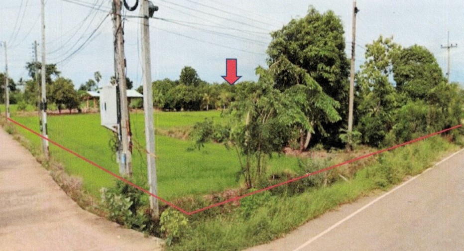 ขายทอดตลาด ที่ดินว่างเปล่า ต.เขาเจ็ดลูก อ.ทับคล้อ จ.พิจิตร