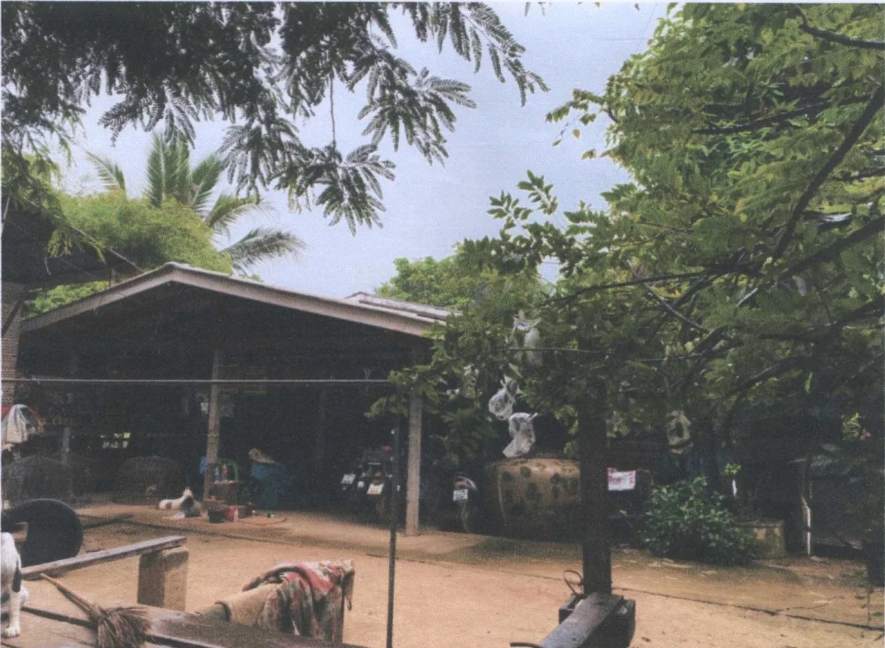ขายทอดตลาด ที่ดินพร้อมสิ่งปลูกสร้าง ต.บ้านบุ่ง อ.เมืองพิจิตร จ.พิจิตร