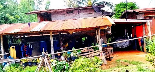 ขายทอดตลาด ที่ดินพร้อมสิ่งปลูกสร้าง ต.วังหามแห อ.ขาณุวรลักษบุรี จ.กำแพงเพชร
