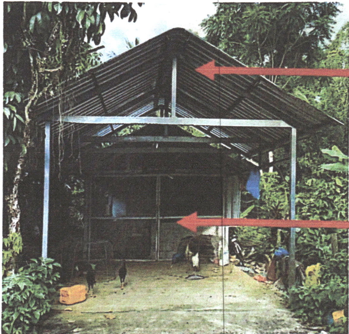 ขายทอดตลาด ที่ดินพร้อมสิ่งปลูกสร้าง ต.บ้านนา อ.ศรีนครินทร์ จ.พัทลุง