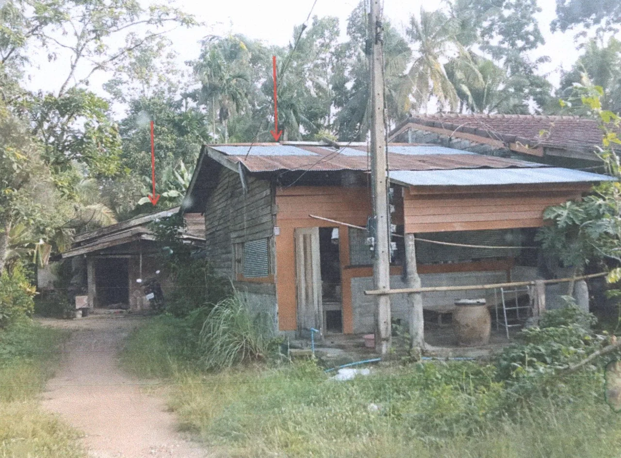 ขายทอดตลาด ที่ดินพร้อมสิ่งปลูกสร้าง ต.หนองธง อ.ป่าบอน จ.พัทลุง