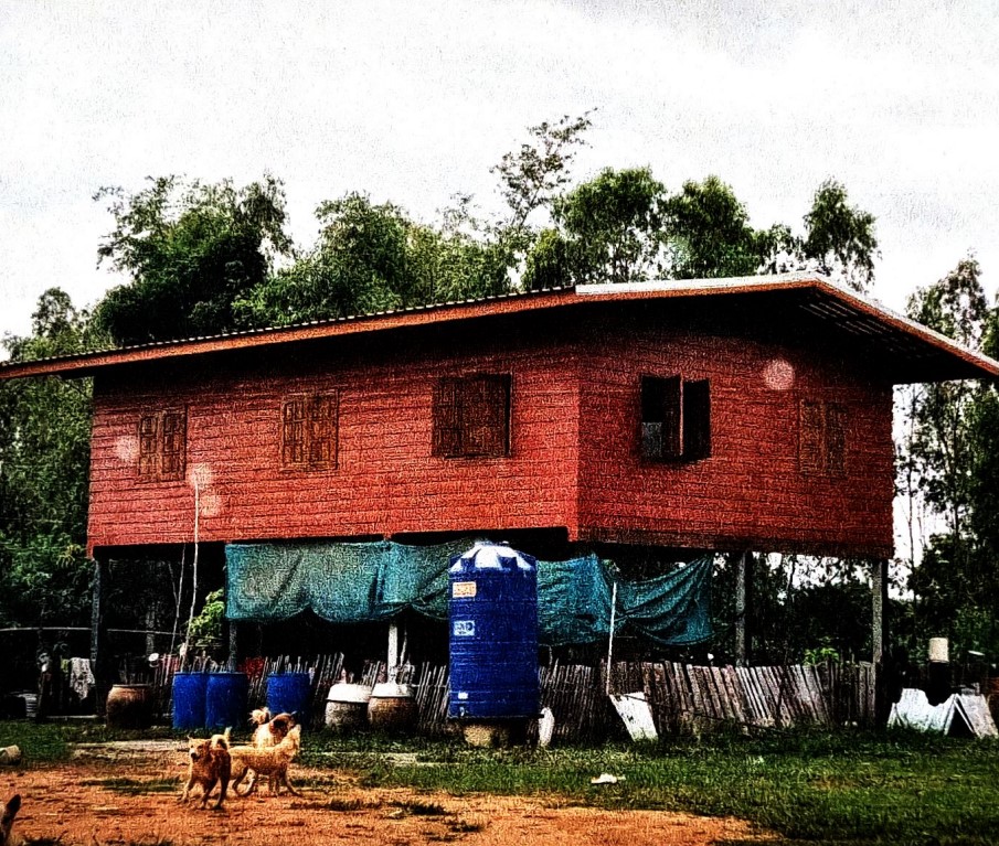ขายทอดตลาด ที่ดินพร้อมสิ่งปลูกสร้าง ต.ท่างาม อ.วัดโบสถ์ จ.พิษณุโลก
