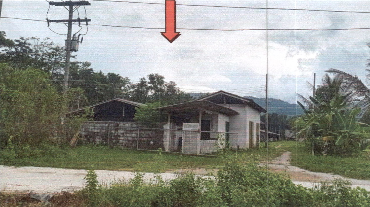 ขายทอดตลาด ที่ดินพร้อมสิ่งปลูกสร้าง ต.คลองเฉลิม อ.กงหรา จ.พัทลุง