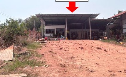 ขายทอดตลาด ที่ดินพร้อมสิ่งปลูกสร้าง ต.บ้านป่า อ.เมืองพิษณุโลก จ.พิษณุโลก