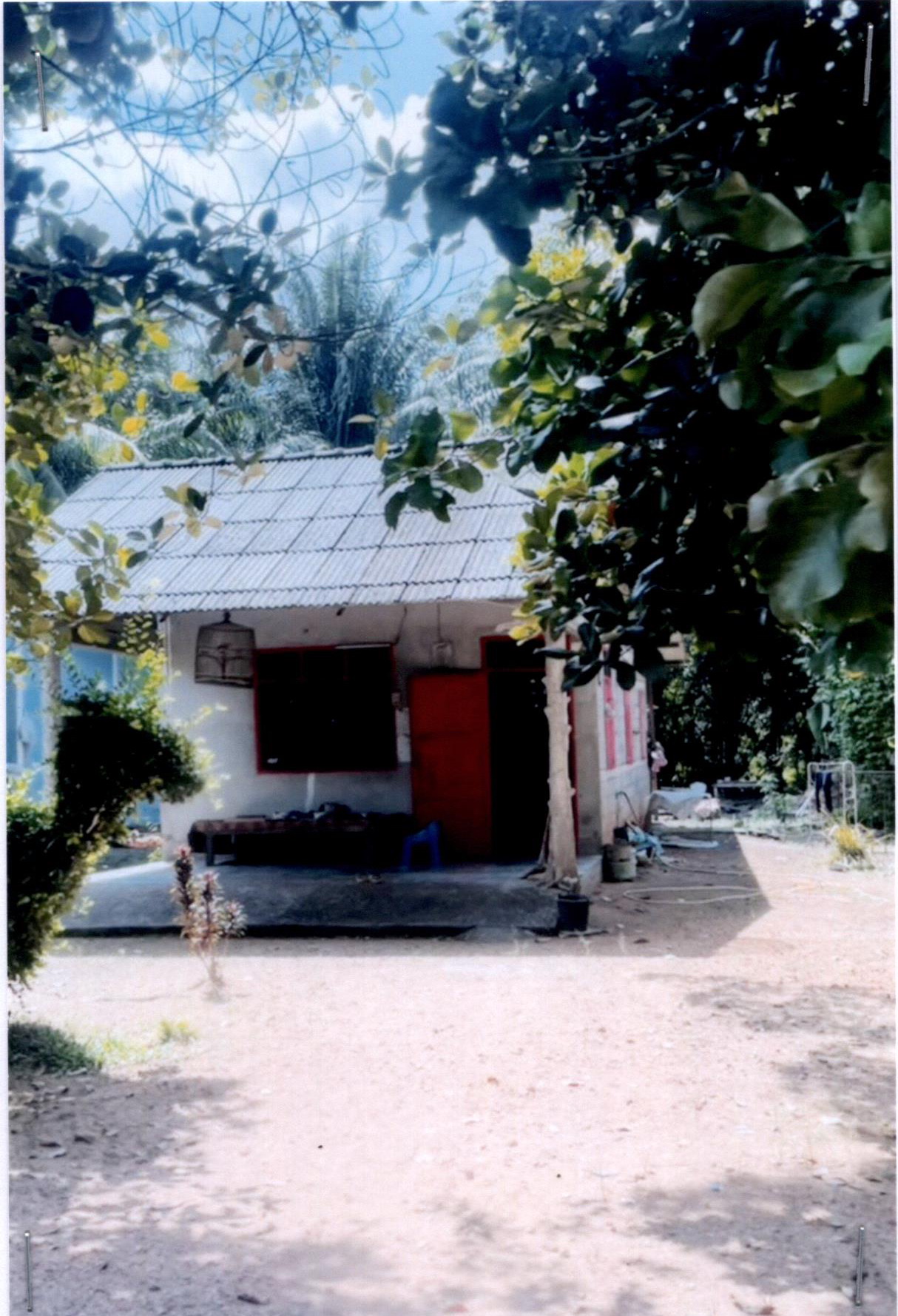 ขายทอดตลาด ที่ดินพร้อมสิ่งปลูกสร้าง ต.หานโพธิ์ อ.เขาชัยสน จ.พัทลุง