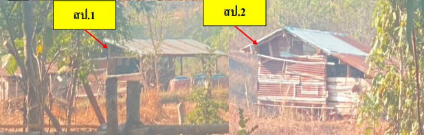 ขายทอดตลาด ที่ดินพร้อมสิ่งปลูกสร้าง ต.บ่อโพธิ์ อ.นครไทย จ.พิษณุโลก