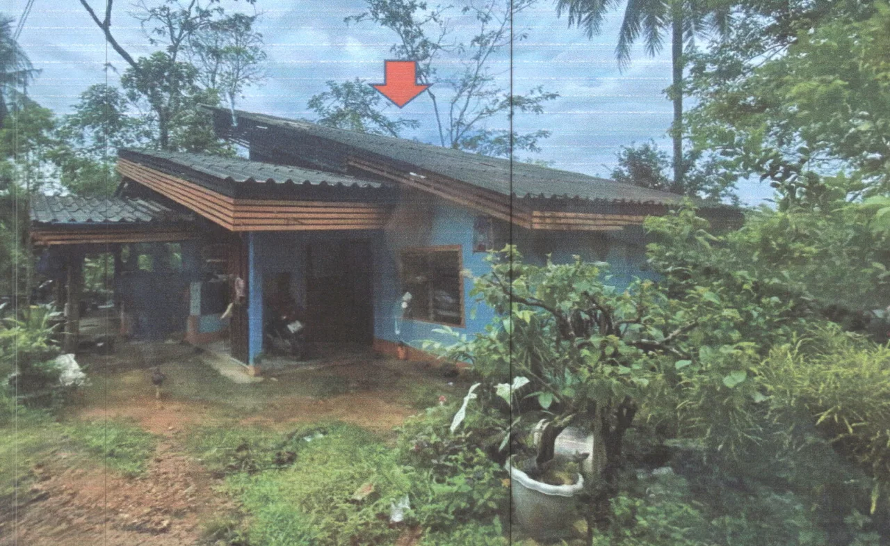ขายทอดตลาด ที่ดินพร้อมสิ่งปลูกสร้าง ต.อ่างทอง อ.ศรีนครินทร์ จ.พัทลุง