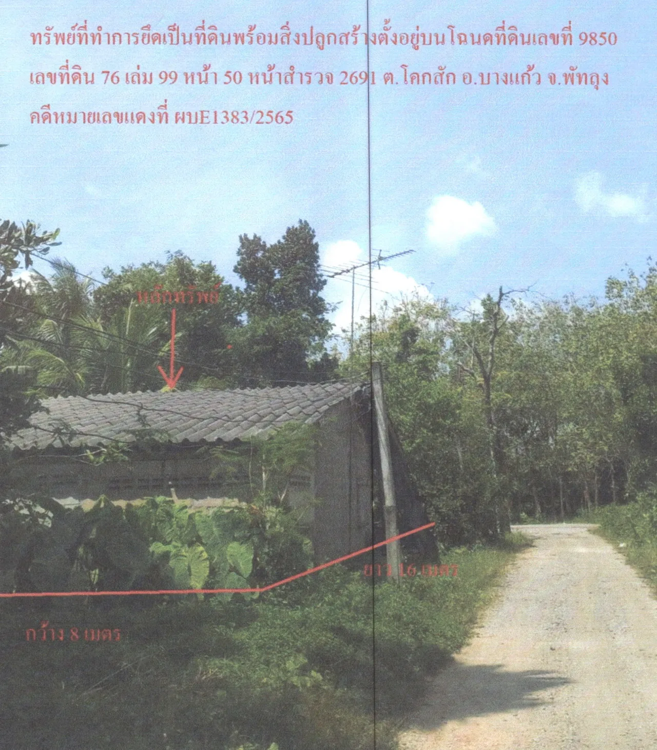 ขายทอดตลาด ที่ดินพร้อมสิ่งปลูกสร้าง ต.โคกสัก อ.บางแก้ว จ.พัทลุง