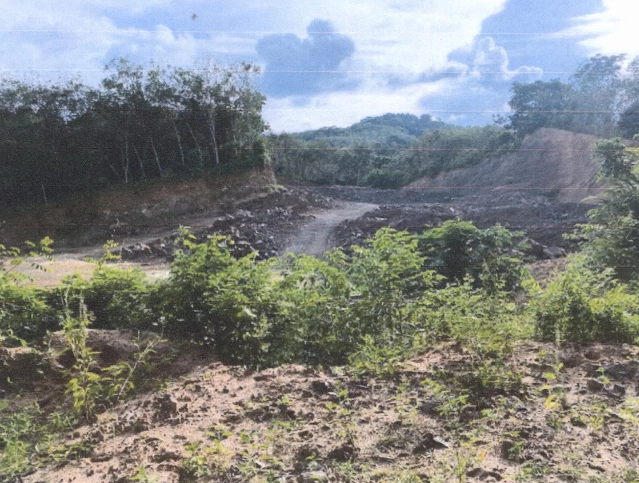 ขายทอดตลาด ที่ดินว่างเปล่า ต.ตะแพน อ.ศรีบรรพต จ.พัทลุง