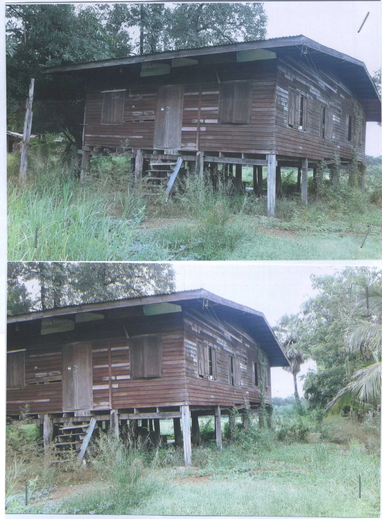 ขายทอดตลาด ที่ดินพร้อมสิ่งปลูกสร้าง ต.ทับคล้อ อ.ทับคล้อ จ.พิจิตร