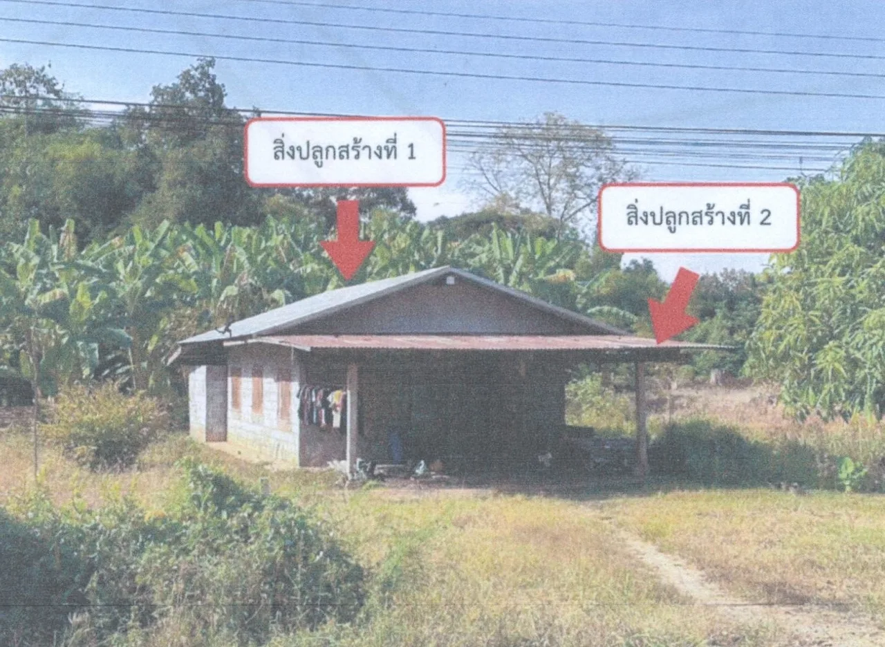 ขายทอดตลาด ที่ดินพร้อมสิ่งปลูกสร้าง ต.ท่าบัว อ.โพทะเล จ.พิจิตร