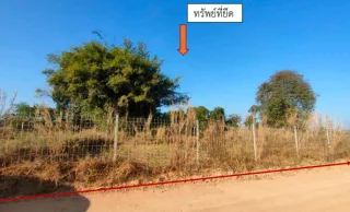 รูปทรัพย์ 3