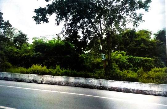 ขายทอดตลาด ที่ดินว่างเปล่า ต.วังนกแอ่น อ.วังทอง จ.พิษณุโลก