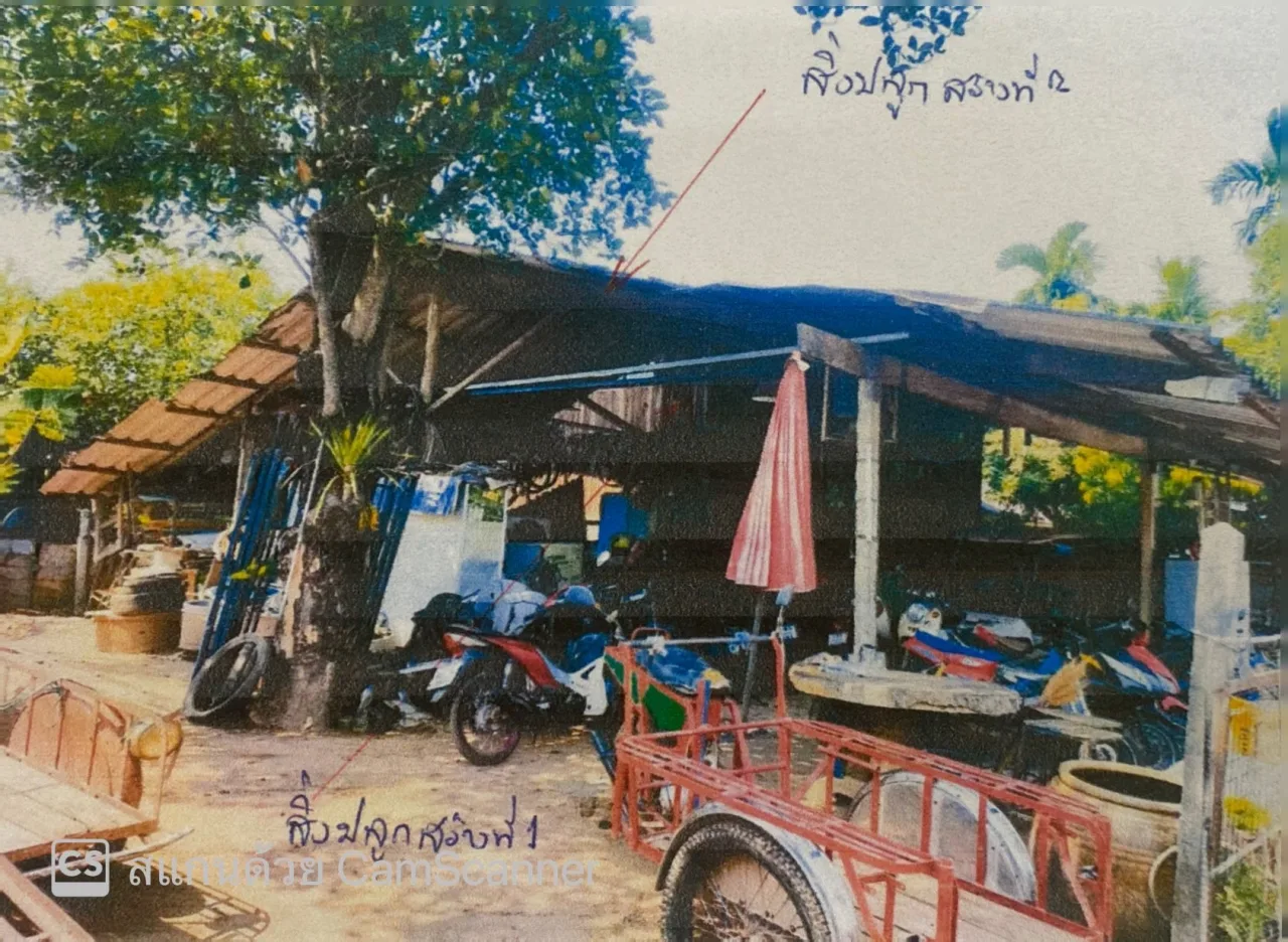 ขายทอดตลาด ที่ดินพร้อมสิ่งปลูกสร้าง ต.วังนกแอ่น อ.วังทอง จ.พิษณุโลก