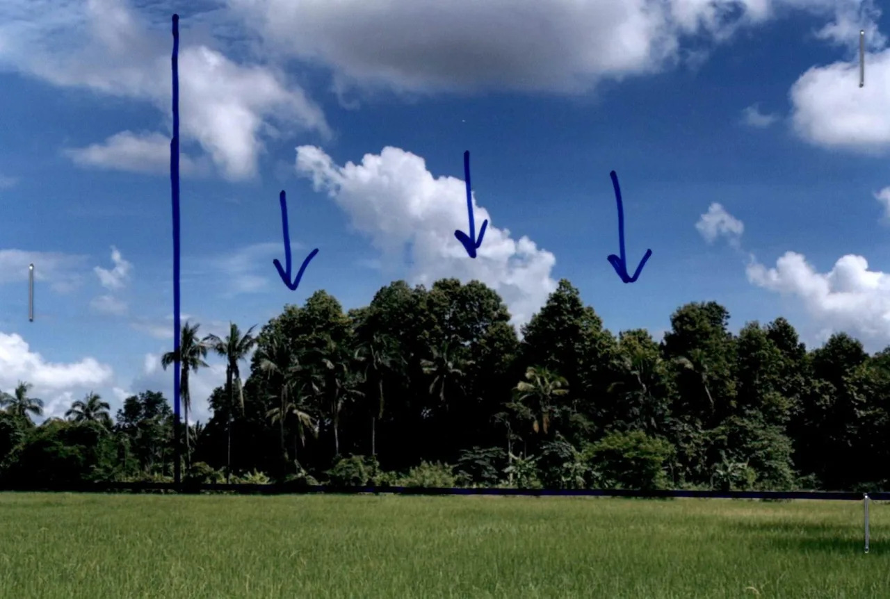ขายทอดตลาด ที่ดินว่างเปล่า ต.สนามคลี อ.บางกระทุ่ม จ.พิษณุโลก
