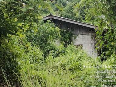 ขายทอดตลาด ที่ดินพร้อมสิ่งปลูกสร้าง ต.ท่าหมื่นราม อ.วังทอง จ.พิษณุโลก