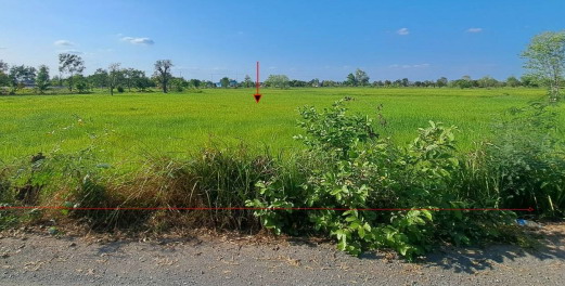 ขายทอดตลาด ที่ดินว่างเปล่า ต.ลาดพัฒนา อ.เมืองมหาสารคาม จ.มหาสารคาม