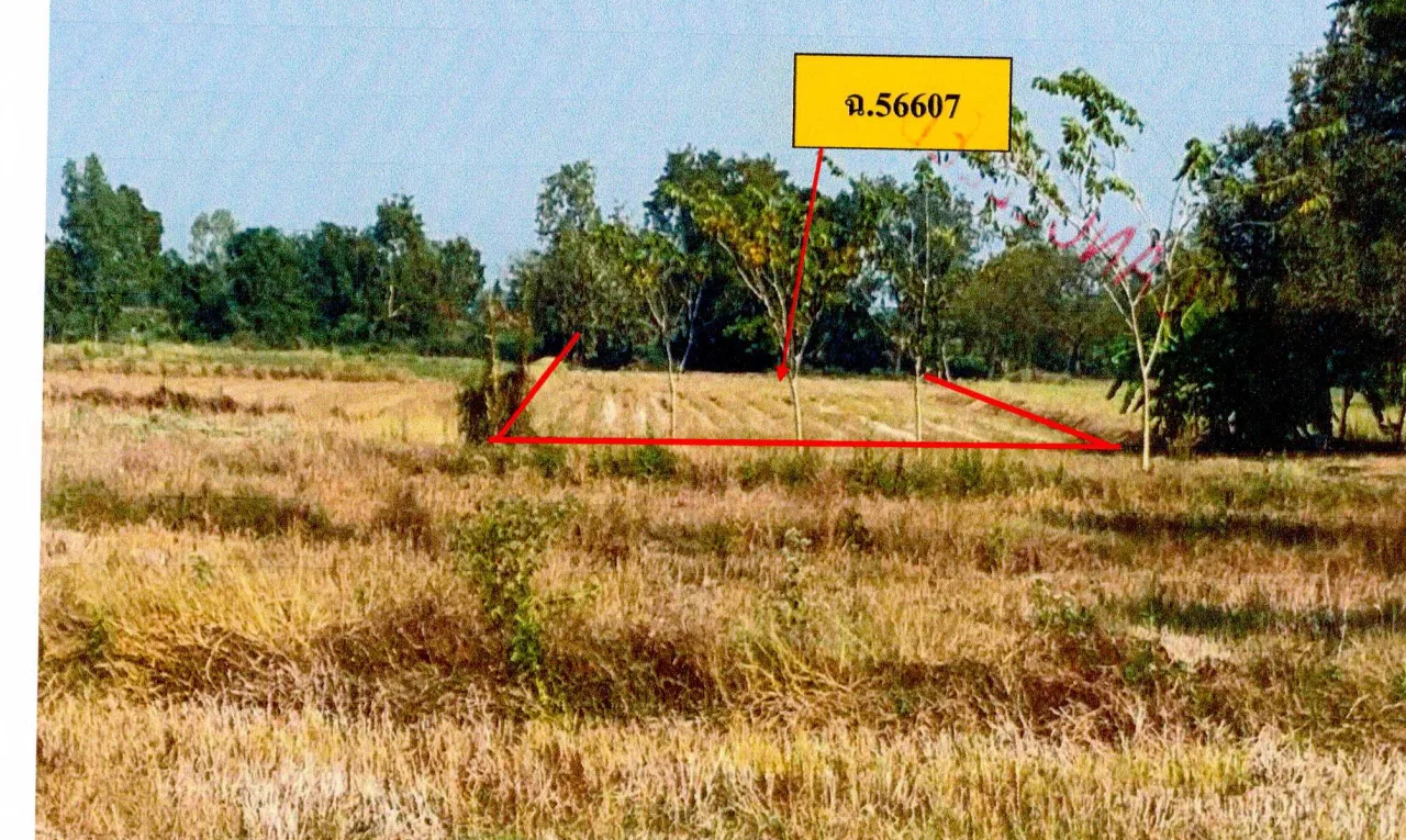 ขายทอดตลาด ที่ดินว่างเปล่า ต.ท่าช้าง อ.พรหมพิราม จ.พิษณุโลก