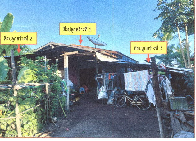 ขายทอดตลาด ที่ดินพร้อมสิ่งปลูกสร้าง ต.บ้านพร้าว อ.นครไทย จ.พิษณุโลก