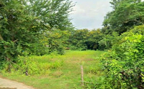 ขายทอดตลาด ที่ดินว่างเปล่า ต.หนองบัวสันตุ อ.ยางสีสุราช จ.มหาสารคาม
