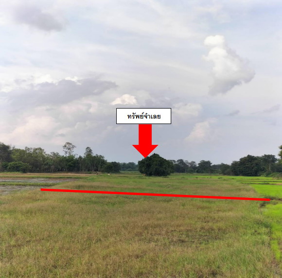 ขายทอดตลาด ที่ดินว่างเปล่า ต.ศรีสุข อ.กันทรวิชัย จ.มหาสารคาม