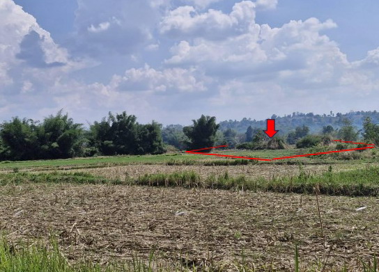 ขายทอดตลาด ที่ดินว่างเปล่า ต.บ่อโพธิ์ อ.นครไทย จ.พิษณุโลก