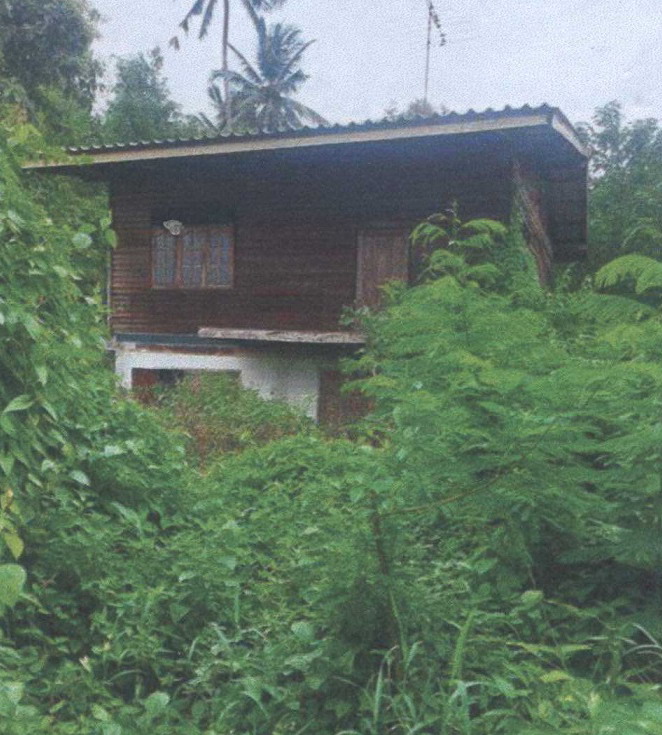 ขายทอดตลาด ที่ดินพร้อมสิ่งปลูกสร้าง ต.ทับหมัน อ.ตะพานหิน จ.พิจิตร