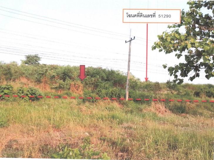 ขายทอดตลาด ที่ดินว่างเปล่า ต.ท่าโพ อ.เมืองพิษณุโลก จ.พิษณุโลก