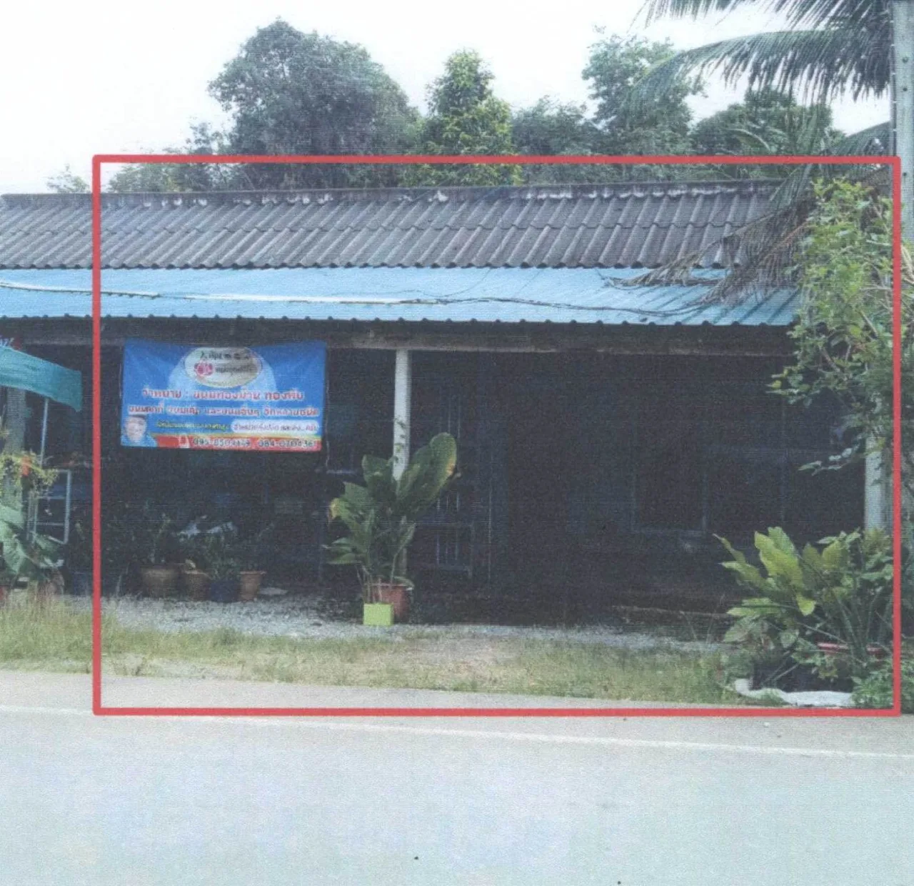 ขายทอดตลาด ที่ดินพร้อมสิ่งปลูกสร้าง ต.พนมวังก์ อ.ควนขนุน จ.พัทลุง