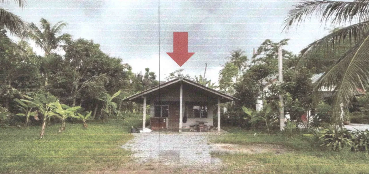 ขายทอดตลาด ที่ดินพร้อมสิ่งปลูกสร้าง ต.บ้านนา อ.ศรีนครินทร์ จ.พัทลุง