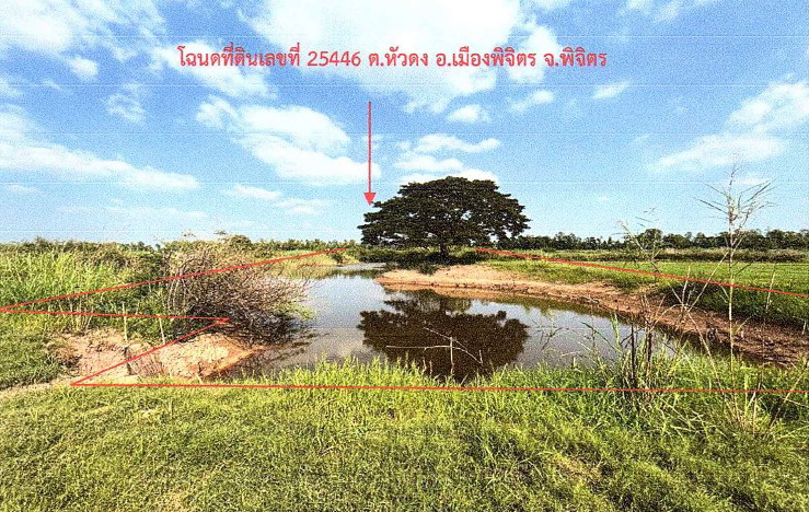 ขายทอดตลาด ที่ดินว่างเปล่า ต.หัวดง อ.เมืองพิจิตร จ.พิจิตร