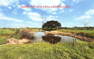 รูปทรัพย์ 1