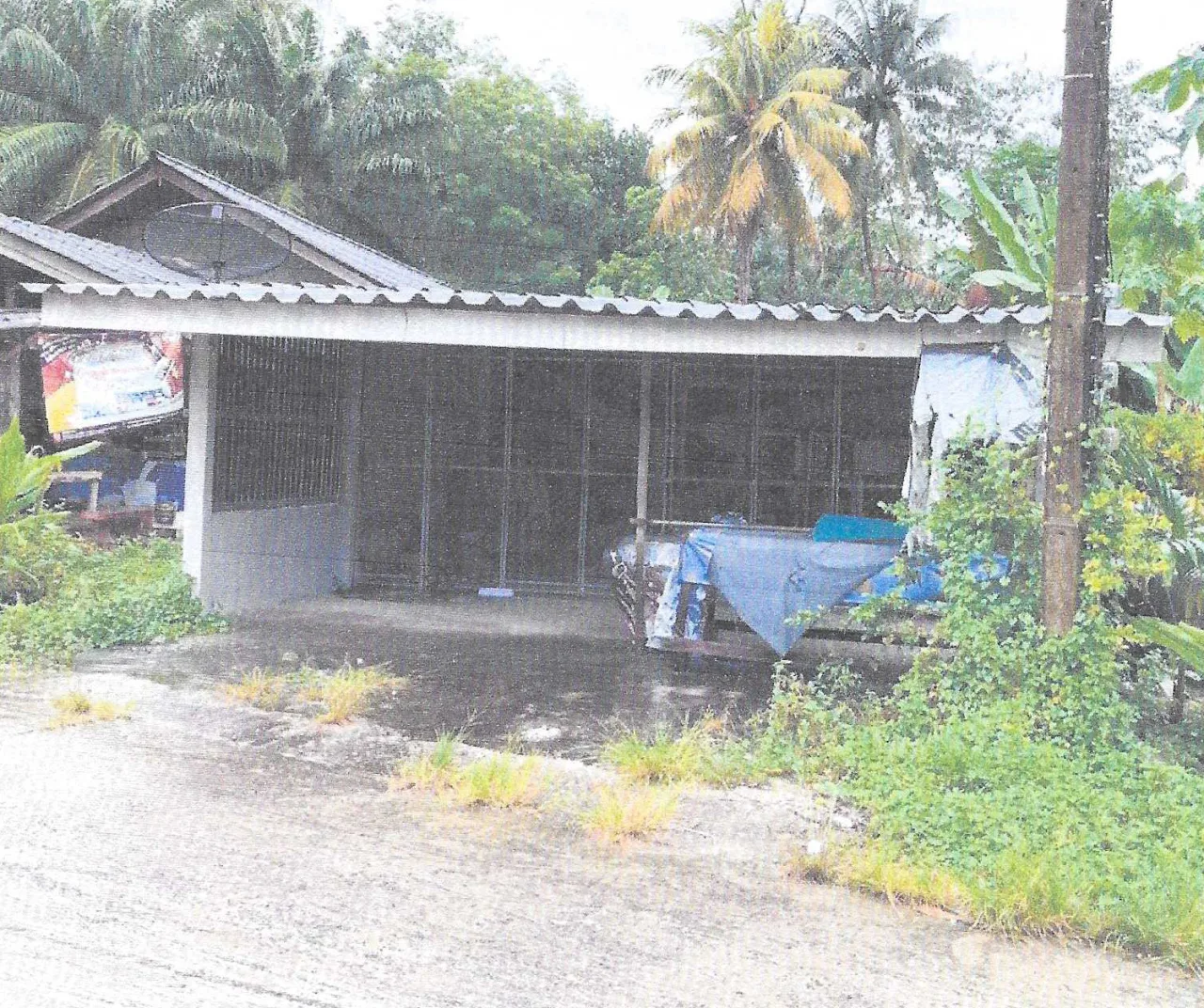 ขายทอดตลาด ที่ดินพร้อมสิ่งปลูกสร้าง ต.คลองยาง อ.เกาะลันตา จ.กระบี่