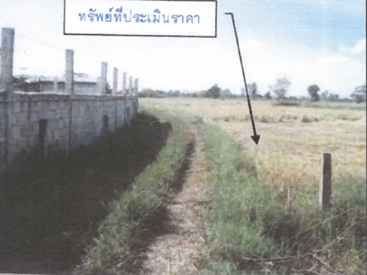 ขายทอดตลาด ที่ดินว่างเปล่า ต.แพง อ.โกสุมพิสัย จ.มหาสารคาม