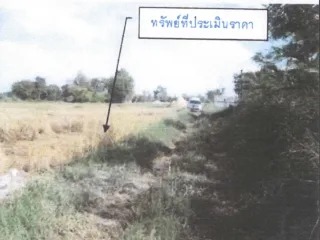 รูปทรัพย์ 2