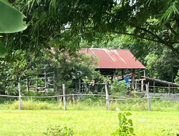 ขายทอดตลาด ที่ดินพร้อมสิ่งปลูกสร้าง ต.หนองสิม อ.บรบือ จ.มหาสารคาม