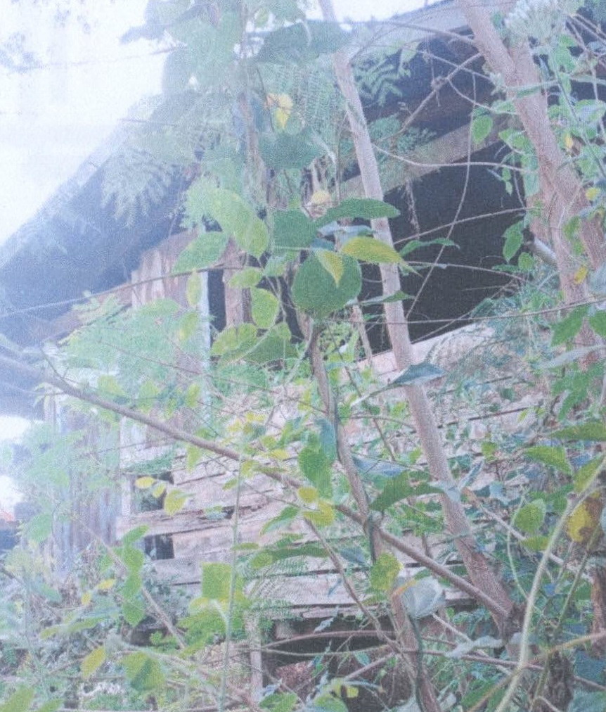 ขายทอดตลาด ที่ดินพร้อมสิ่งปลูกสร้าง ต.หนองพยอม อ.ตะพานหิน จ.พิจิตร