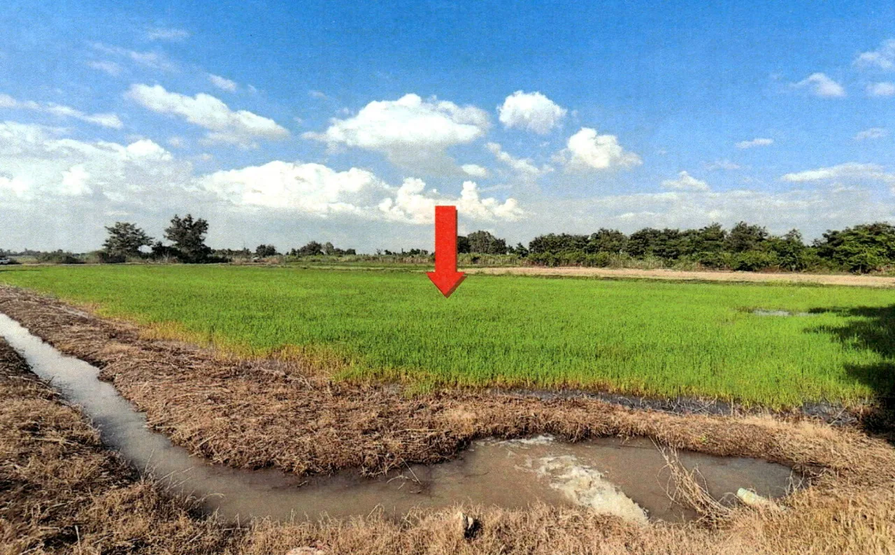 ขายทอดตลาด ที่ดินว่างเปล่า ต.สนามคลี อ.บางกระทุ่ม จ.พิษณุโลก