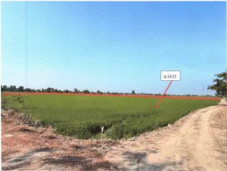 รูปทรัพย์ 5
