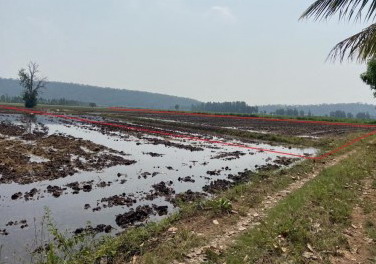 ขายทอดตลาด ที่ดินว่างเปล่า ต.ตลุกเทียม อ.พรหมพิราม จ.พิษณุโลก