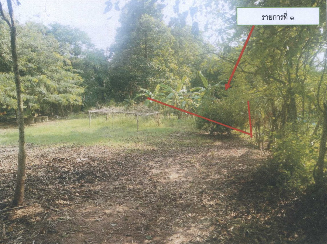 ขายทอดตลาด ที่ดินว่างเปล่า ต.ย่านยาว อ.เมืองพิจิตร จ.พิจิตร