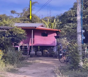 ขายทอดตลาด ที่ดินพร้อมสิ่งปลูกสร้าง ต.พันเสา อ.บางระกำ จ.พิษณุโลก