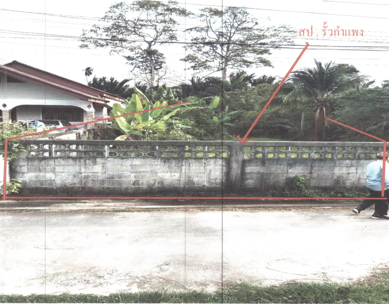 ขายทอดตลาด ที่ดินพร้อมสิ่งปลูกสร้าง ต.ท่ามิหรำ อ.เมืองพัทลุง จ.พัทลุง