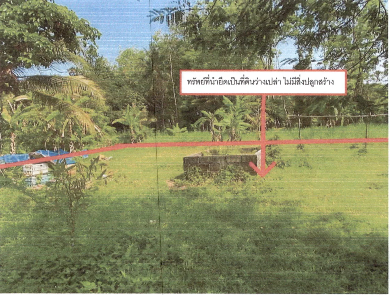 ขายทอดตลาด ที่ดินว่างเปล่า จ.พัทลุง