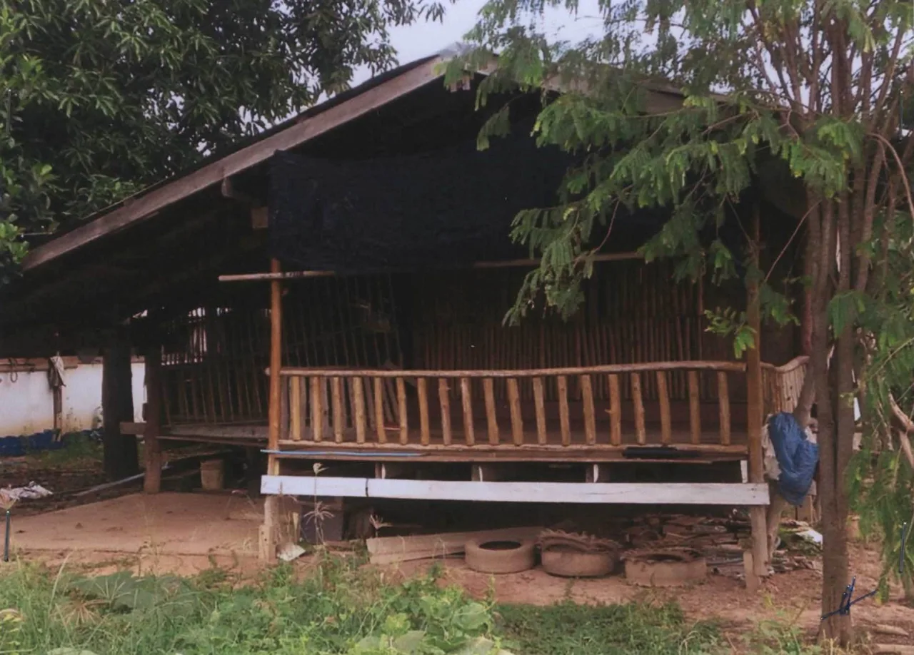 ขายทอดตลาด ที่ดินพร้อมสิ่งปลูกสร้าง ต.นครป่าหมาก อ.บางกระทุ่ม จ.พิษณุโลก