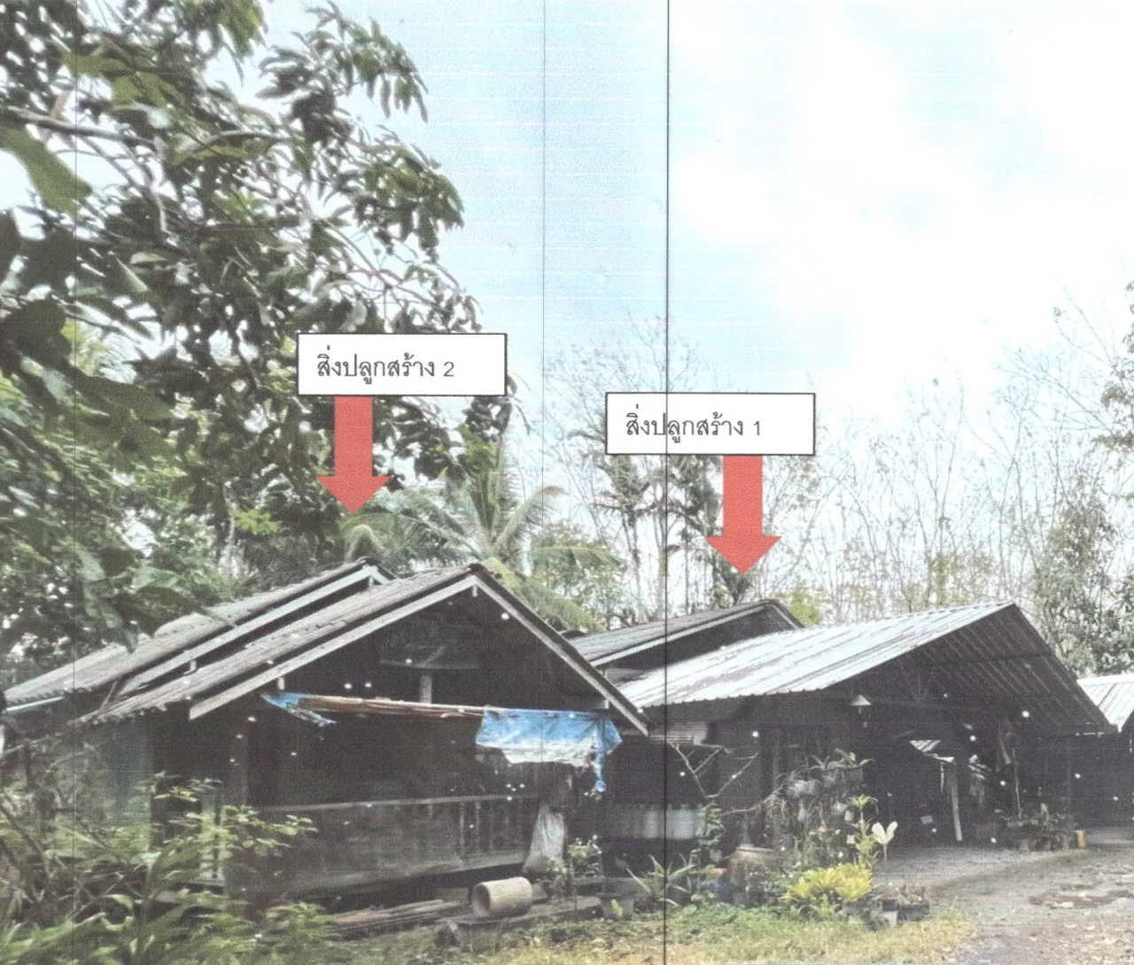 ขายทอดตลาด ที่ดินพร้อมสิ่งปลูกสร้าง ต.ลานข่อย อ.ป่าพะยอม จ.พัทลุง